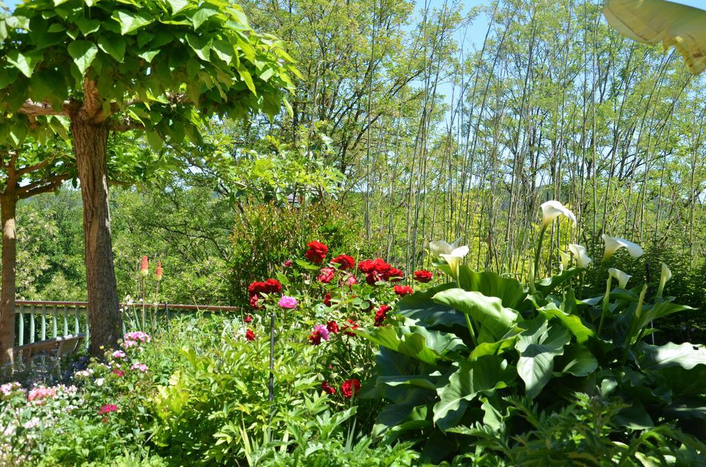 La Gueriniere Bed & Breakfast Cénac-et-Saint-Julien Exterior foto
