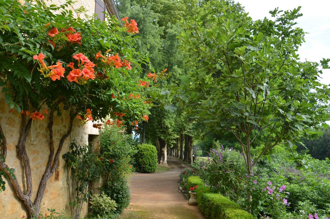 La Gueriniere Bed & Breakfast Cénac-et-Saint-Julien Exterior foto